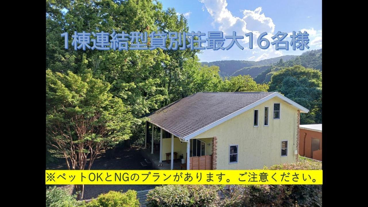 Hale Ilio Itō