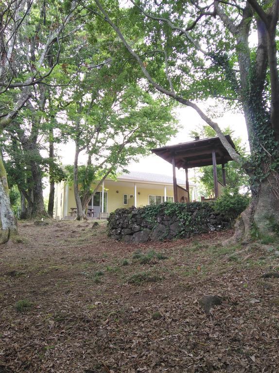 Ferienhaus Hale Ilio
